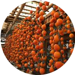 たかもり旬彩館